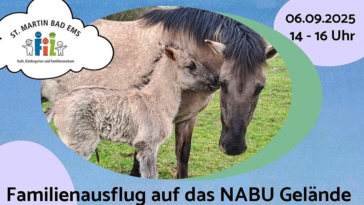 Ein Ausflug auf die Schmidtenhöhe