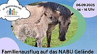 Ein Ausflug auf die Schmidtenhöhe