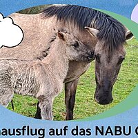 Ein Ausflug auf die Schmidtenhöhe