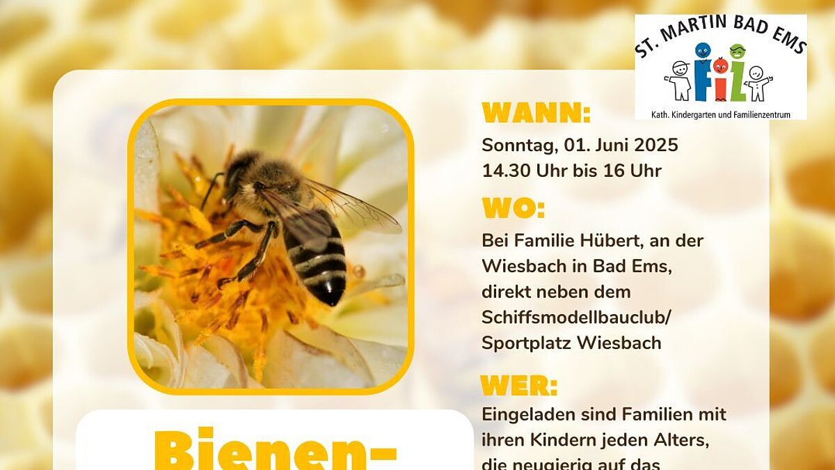 Bienenkuscheln