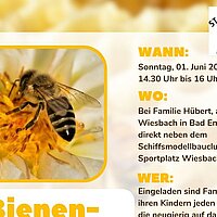 Bienenkuscheln